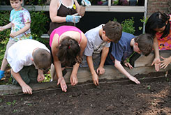 French Road students planting flower and vegetable seeds